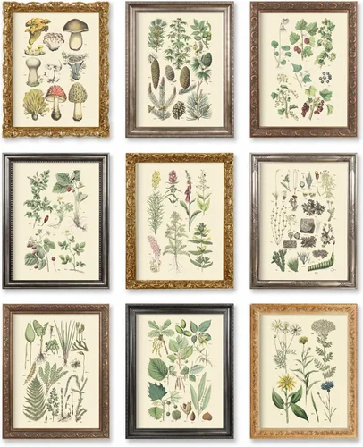 Vista 10 de Vintage Botanical Prints Woodland Plants by Ink Inc. Wildflower Mushrooms Fern Trees Berries Wall Art Set of 9 5"x7" - Framed, Black Wood