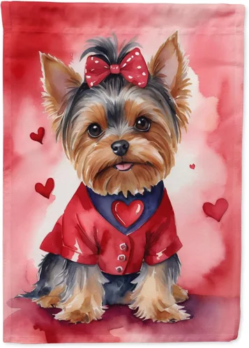 Vista 89 de Caroline's Treasures DAC5252GF Affenpinscher - Bandera de jardín con texto en inglés "My Valentine", bandera decorativa para patio exterior, patio