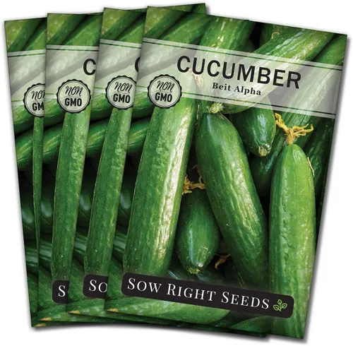 Vista 8 de Sow Right Seeds - Semillas de pepino Beit Alpha para plantar - Paquete de reliquia sin OMG con instrucciones para plantar y cultivar un huerto