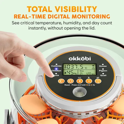 Vista 7 de Incubadora de huevos de capacidad 12-20 con torneado automático y vela