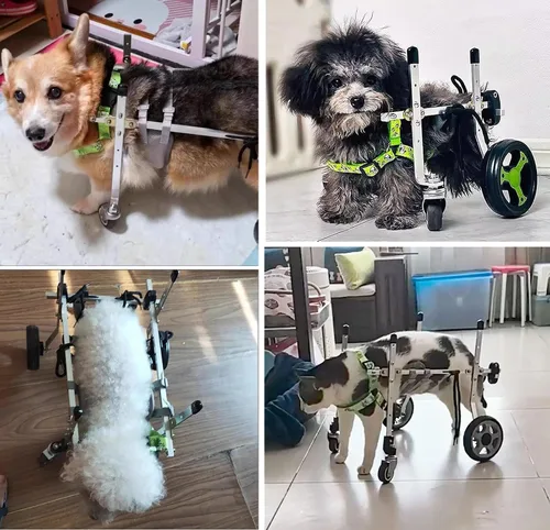Vista 2 de Silla de ruedas para perro, 4 ruedas, soporte completo, ayuda ajustable para la movilidad de perros pequeños, carrito de asistencia para gatitos