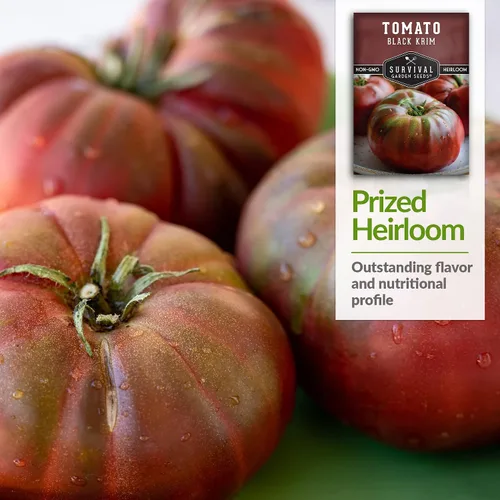 Vista 4 de Black Krim - Semillas de tomate para plantar, variedad de filetes de res sin OMG, sabor rico, alto rendimiento, cultivo de tomates indeterminados