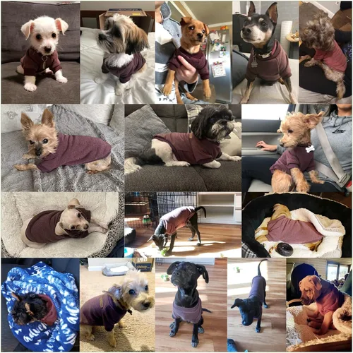 Vista 4 de Jecikelon Ropa para Perros Suéter para Perros Ropa Suave para Cachorros Ropa de Invierno Suéteres para Cachorros Atuendo Cálido para Perros Pequeños