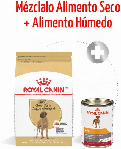 Vista 4 de ROYAL CANIN Great Dane - Alimento seco para perros adultos, bolsa de 30
