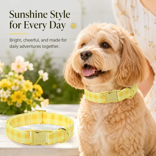 Vista 362 de Collar para perros del 4 de julio, collares patrióticos azules para cachorros y perros pequeños, ligero y ajustable 1776 collares para cachorros