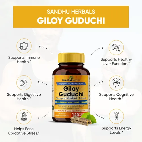 Vista 2 de SANDHUHERBALS Giloy orgánico (Guduchi) Polvo Herbal 120 cápsulas vegetarianas para hombres y mujeres Suplemento herbario natural para apoyo