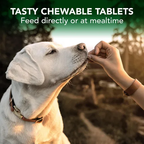 Vista 9 de Vet del mejor Alivio de la alergia de temporada perro Suplementos, 60 tabletas masticables, EE. UU. Made Seasonal Allergy Relief Tablets, Helps