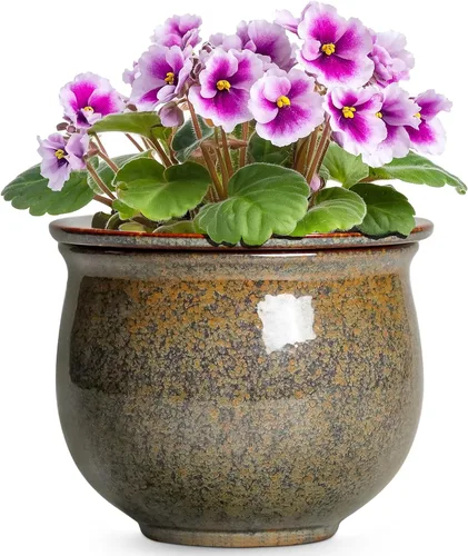 Vista 10 de Macetas de riego automático de 6 pulgadas para plantas de interior, macetas de cerámica violeta africana con maceta interior absorbente, maceta