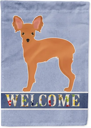 Vista 84 de Caroline's Treasures CK3645GF Bandera de bienvenida de bulldog inglés para jardín, bandera decorativa para patio exterior, obras de arte de patio