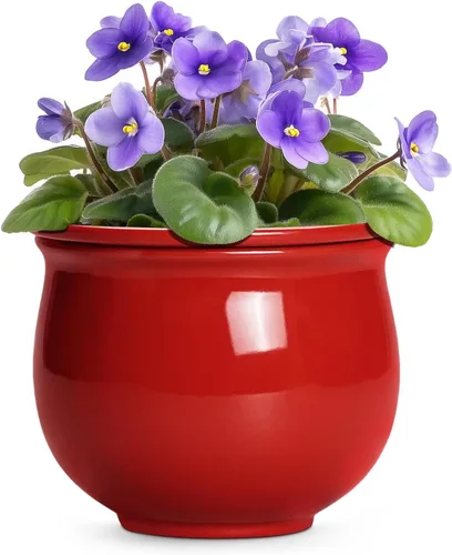 Vista 22 de Macetas de riego automático de 6 pulgadas para plantas de interior, macetas de cerámica violeta africana con maceta interior absorbente, maceta