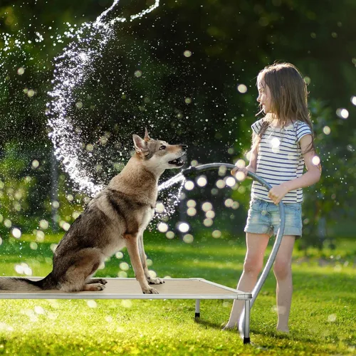 Vista 6 de Veehoo Cama elevada para perros a prueba de masticaciones, cuna elevada para mascotas, malla transpirable, lavable y antideslizante para perros