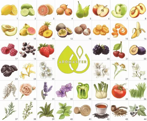 Vista 2 de Aromaster Kit de aroma de vino de sumiller profesional 88 aromas de vino (versión en español)