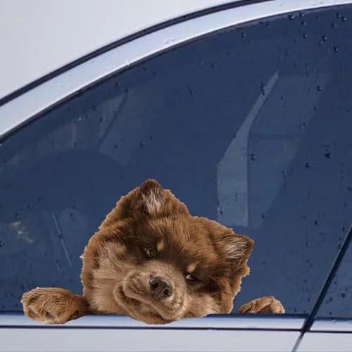 Vista 17 de Calcomanías de perro caniche, divertidas calcomanías de vinilo troqueladas para automóvil, laptop, parachoques Estilo-37