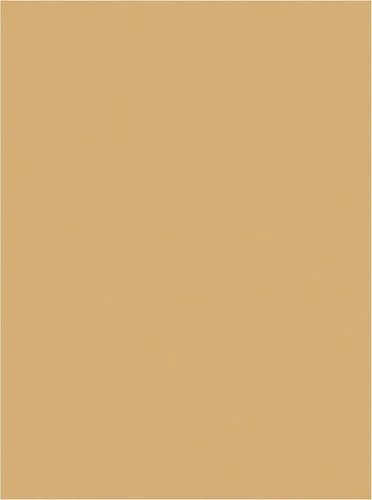 Vista 2 de Tru-Ray Papel de Construcción 9x12 Almendra