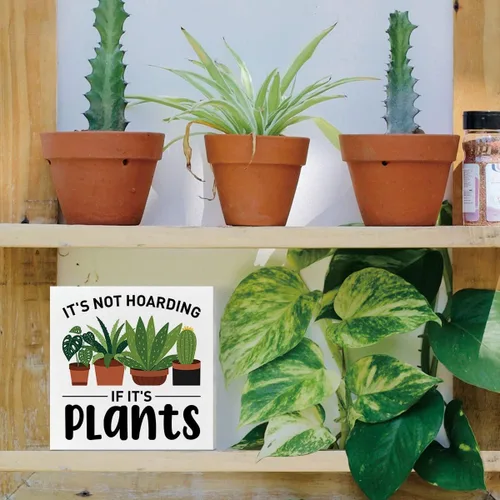 Vista 4 de Decoración de caja de madera con texto en inglés "It's Not Hoarding If It's Plants", decoración de jardín de plantas, decoración de escritorio