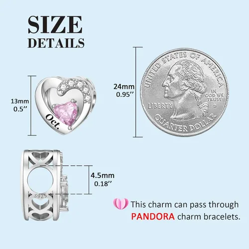Vista 4 de SEVENWELL Birthstone Charms with Birth Month Flower Engraved Fit Charms Pandora Bracelet 925 Sterling Silver Beads Charms Happy Birthday for Women