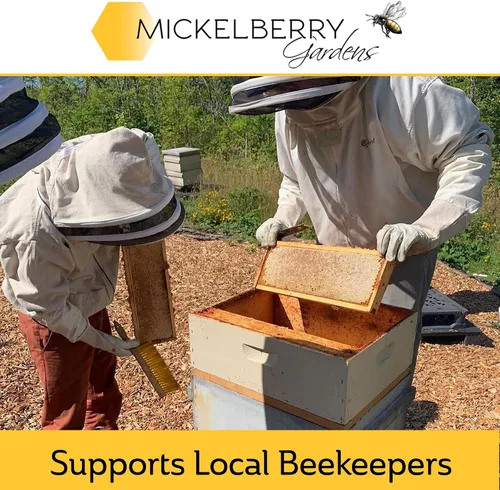 Vista 8 de Mickelberry Gardens Honey Propolis - Espray para la garganta, alivio calmante del dolor de garganta y apoyo inmunológico de propóleos, fórmula