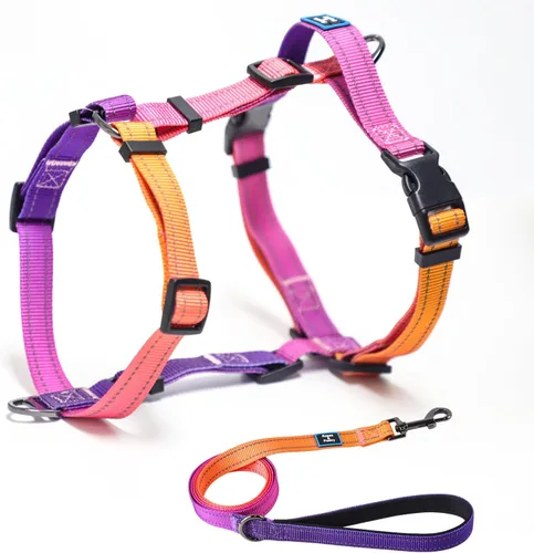 Vista 10 de Roses&Poetry Juego de arnés y correa para cachorros y perros, arnés para perros sin tirones ajustable reflectante, arneses de halter para perros