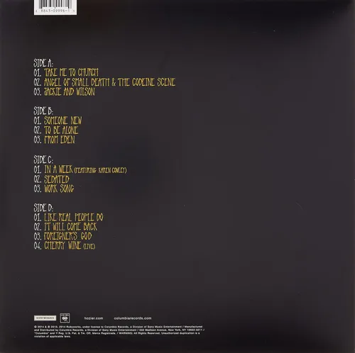 Vista 2 de Hozier