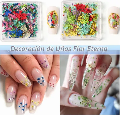 Vista 4 de 4 cajas de flores secas 3D para uñas, mini flores secas calcomanías de uñas S-055-01-04 Conjunto