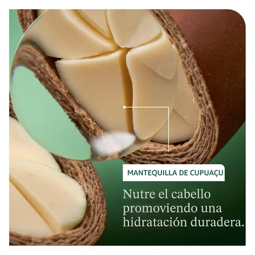 Vista 4 de Biolage Ultra Hydra Source - Acondicionador, acondiciona intensamente, para cabello muy seco, grueso y áspero, infundido con microdosis de manteca