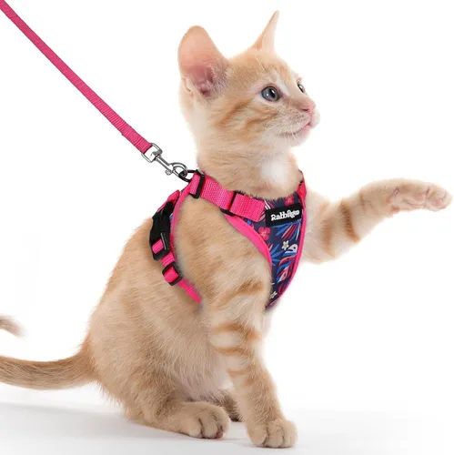 Vista 58 de rabbitgoo Cat Harness and Leash Set, Escape Proof Vest, XXS, Berry Pounce Soft Breathable Mesh, No-choke Adjustable Fit, Snap Buckles, Sturdy