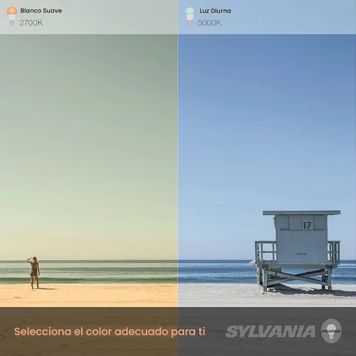 Vista 6 de LEDVANCE Sylvania - Bombilla LED TruWave Natural Series A19, equivalente a 75 W, eficiente 11 W, 1100 lúmenes, base media, regulable, esmerilada