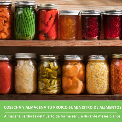 Vista 3 de Semillas de verduras para jardín del hogar, paquete de 30 variedades – Kit de caja de semillas reliquias para plantar verduras, hierbas y frutas