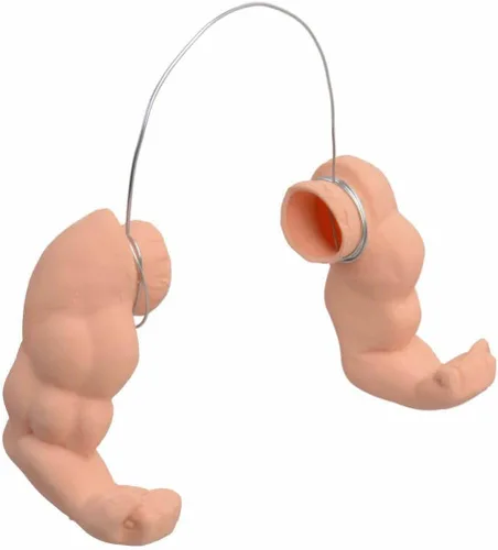 Vista 3 de Enrichoice 3 pares de juguetes de pollo incluyen brazos de músculos fuertes brazos pulgar arriba y brazos de pollo T-Rex para poner en las gallinas