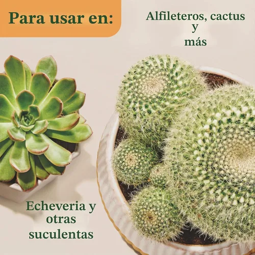 Vista 10 de Miracle-Gro Mezcla para macetas de interior para cactus y suculentas, 8 cuartos de galón (paquete de 2) Mezcla para macetas de cactus y suculentas