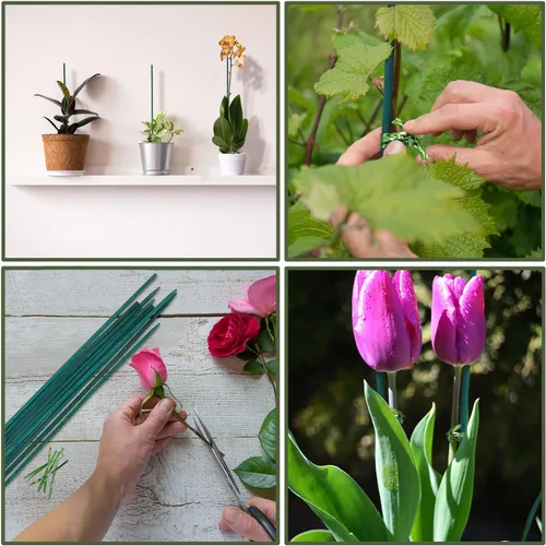 Vista 6 de Estacas de bambú verde para plantas, soporte para plantas de interior y exterior, palos de bambú resistentes de madera de jardín, estacas de soporte
