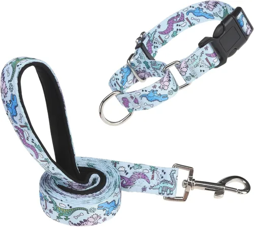 Vista 10 de Martingale - Juego de collar y correa para perro, para caminar, jugar, entrenar, collares reflectantes ajustables con correa para perros pequeños