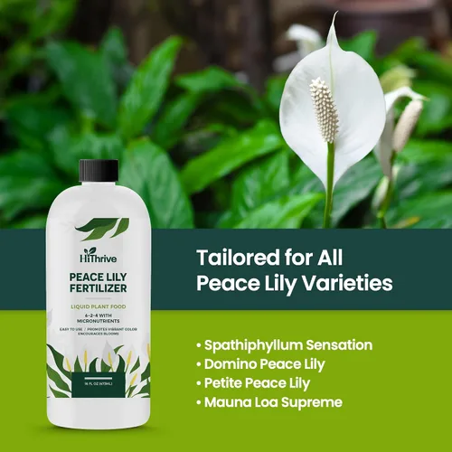 Vista 7 de Fertilizante líquido para plantas de lirio de la paz de 16oz - Produce 96 galones de fertilizante para lirio de la paz - Alimento líquido rico