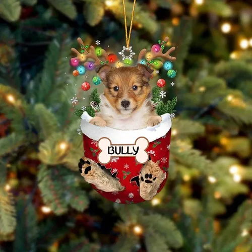 Vista 36 de IZI POD Affenpinscher Adorno de Navidad personalizado para perro, adorno de bolsillo de nieve para perro para árbol de Navidad, adorno acrílico