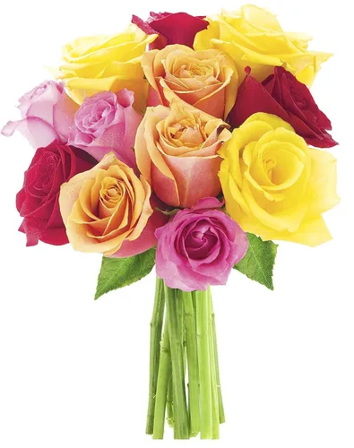 Vista 4 de KaBloom - Rosas arcoíris (media docena)- Flores frescas para cumpleaños, San Valentín y Día de la Madre
