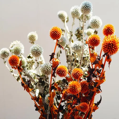 Vista 5 de Blue Planet - Flores secas de equinops para decoración, arreglos florales secos, cardo de globo seco (naranja)