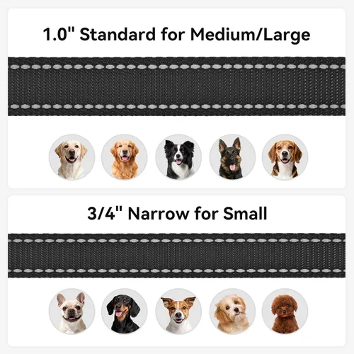 Vista 6 de Joytale - Correa reflectante de doble cara para perro, 6, 5 y 4 pies, resistente de nailon, asa acolchada, para pasear perros pequeños y medianos