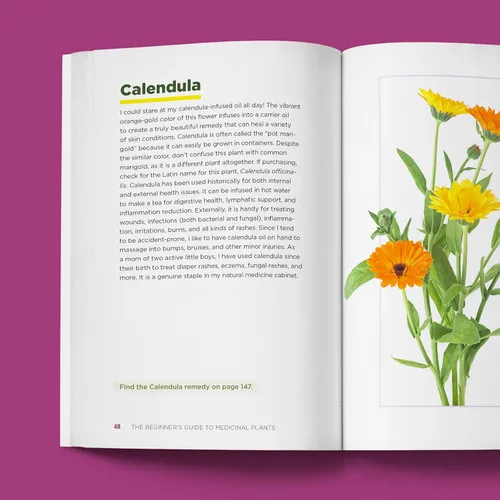 Vista 6 de The Beginner's Guide to Medicinal Plants 50 Essential Wild Herbs to Identify, Harvest, and Use