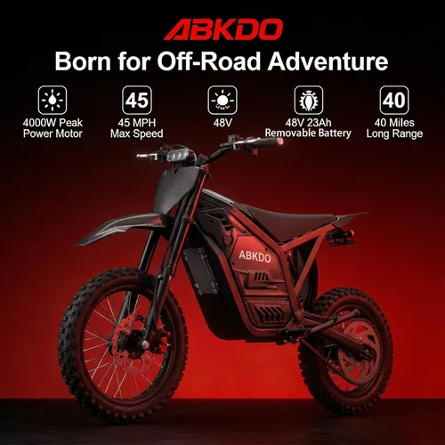 Vista 4 de Motocicleta eléctrica para adultos adolescentes, motor de 4000 W Estilo clásico