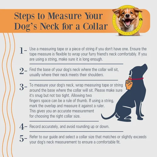 Vista 6 de Filbert Collar de cuero para perro, collar de cuero genuino para perros pequeños, estampado de patas en relieve con hebilla, grano completo curtido