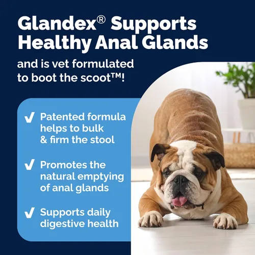 Vista 5 de Glandex - Paquete de spray antipicazón para glándulas anales y medicamentos para perros, fibra, probióticos y enzimas digestivas con hidrocortisona
