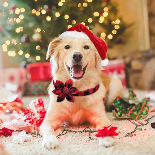 Vista 2 de Malier Collar de Navidad para perro con flor, clásico collar de perro a cuadros de búfalo con hebilla, collares de Navidad ajustables con pajarita