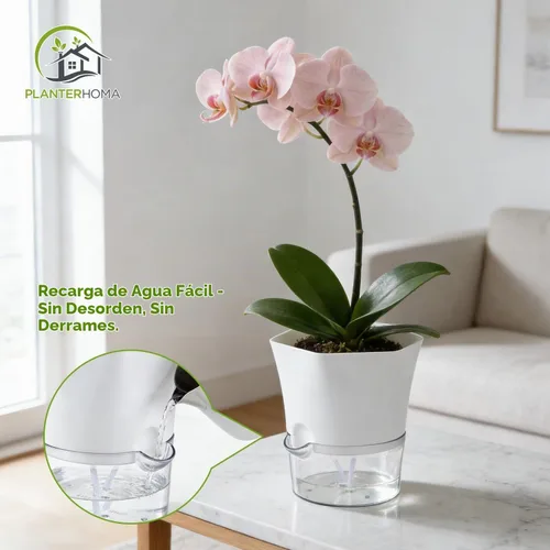 Vista 4 de Paquete de 6 macetas transparentes de riego automático de 6 pulgadas para plantas de interior, macetas hexagonales grandes con riego automático
