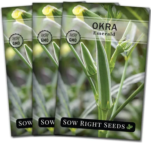 Vista 8 de Sow Right Seeds - Semillas de okra esmeralda para plantar - Paquete de reliquia sin OMG con instrucciones para plantar un huerto casero - Cápsulas