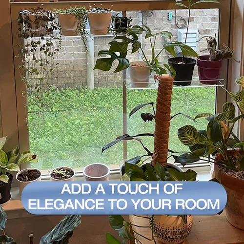 Vista 5 de Paquete de 2 cajas de ventana de acrílico de 12 pulgadas, estantes para plantas, con extensor de alféizar de ventana con ventosa, para suculentas