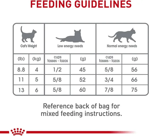Vista 8 de Royal Canin Feline Care Nutrition Dental Care Alimento seco para gatos adultos, bolsa de 3 libras