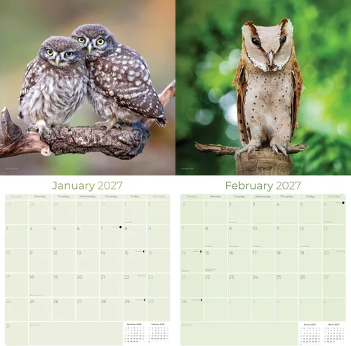 Vista 349 de Calendario de grises africanos 2025 2026 – Planificador mensual de pared de aves africanas – 12 x 18 pulgadas (abierto), calendario de pared