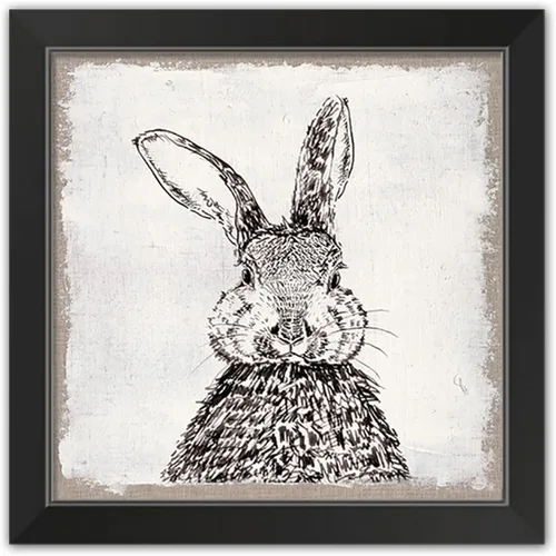 Vista 19 de Carrot Patch Sign 4 11 x 14 Black Framed Print Under Plexiglass