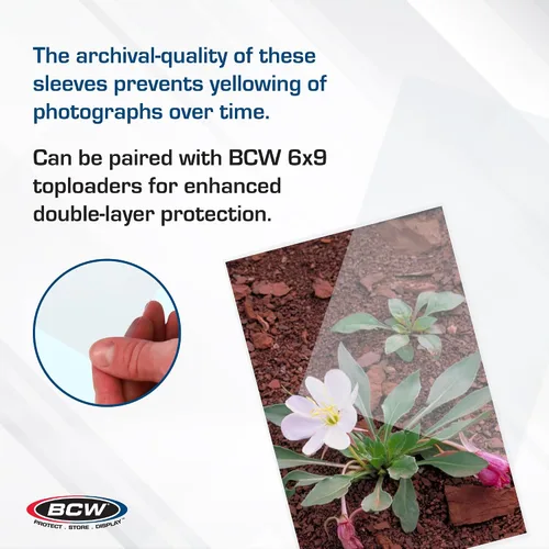 Vista 4 de BCW Fundas para fotos de 6 x 9 – 100 unidades Sin ácidos, sin PVC Polipropileno transparente Almacenamiento de archivo para fotos y postales