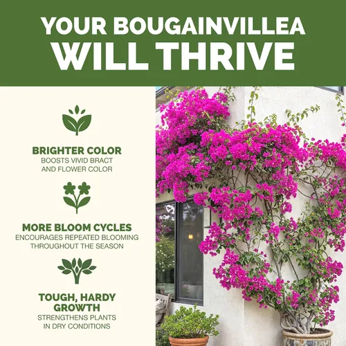 Vista 2 de Fertilizante para Buganvillas, alimento líquido completo para plantas de Buganvilla, 8 oz (250mL)